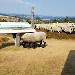 公寓 Fewos 4-jahreszeiten 维林根