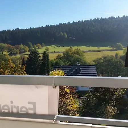 Fewos 4-jahreszeiten Lägenhet Willingen (Upland)