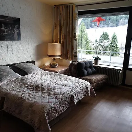 Fewos 4-jahreszeiten * Willingen (Upland)