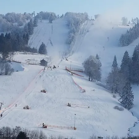 Fewos 4-jahreszeiten Lägenhet Willingen (Upland)