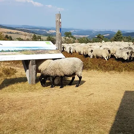 Lägenhet Fewos 4-jahreszeiten Willingen (Upland)