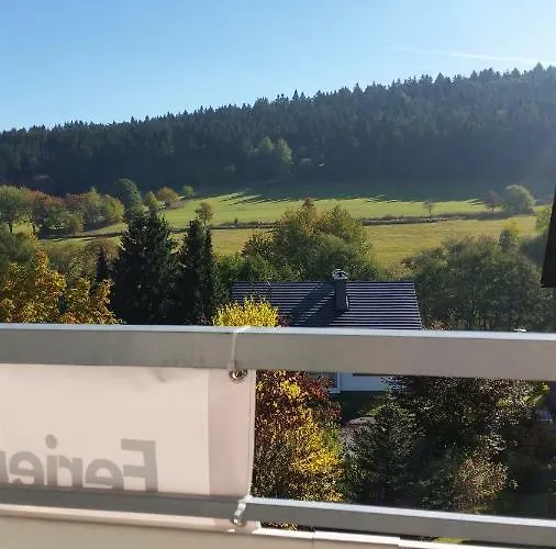 Fewos 4-jahreszeiten Appartamento Willingen (Upland)