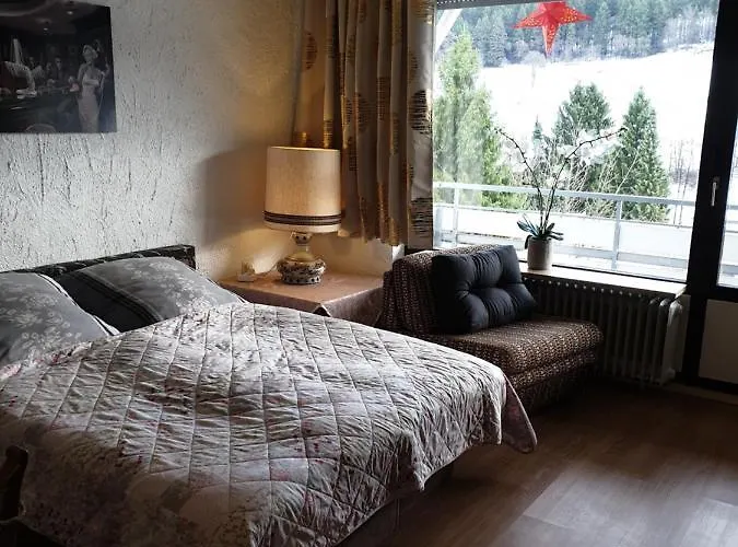 Fewos 4-jahreszeiten * Willingen (Upland)