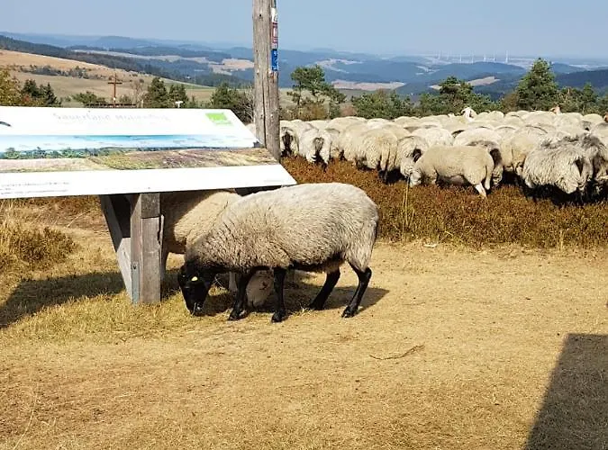 Appartamento Fewos 4-jahreszeiten Willingen (Upland)